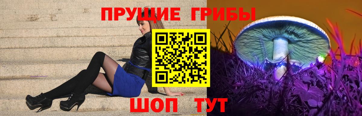 Камень-на-Оби  Псилоцибиновые грибы Magic Shrooms  Вход с VPN  Галлюциногенные грибы GOLDEN TEACHER 